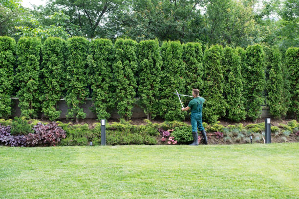 Leaf Removal in Byram Center, NJ